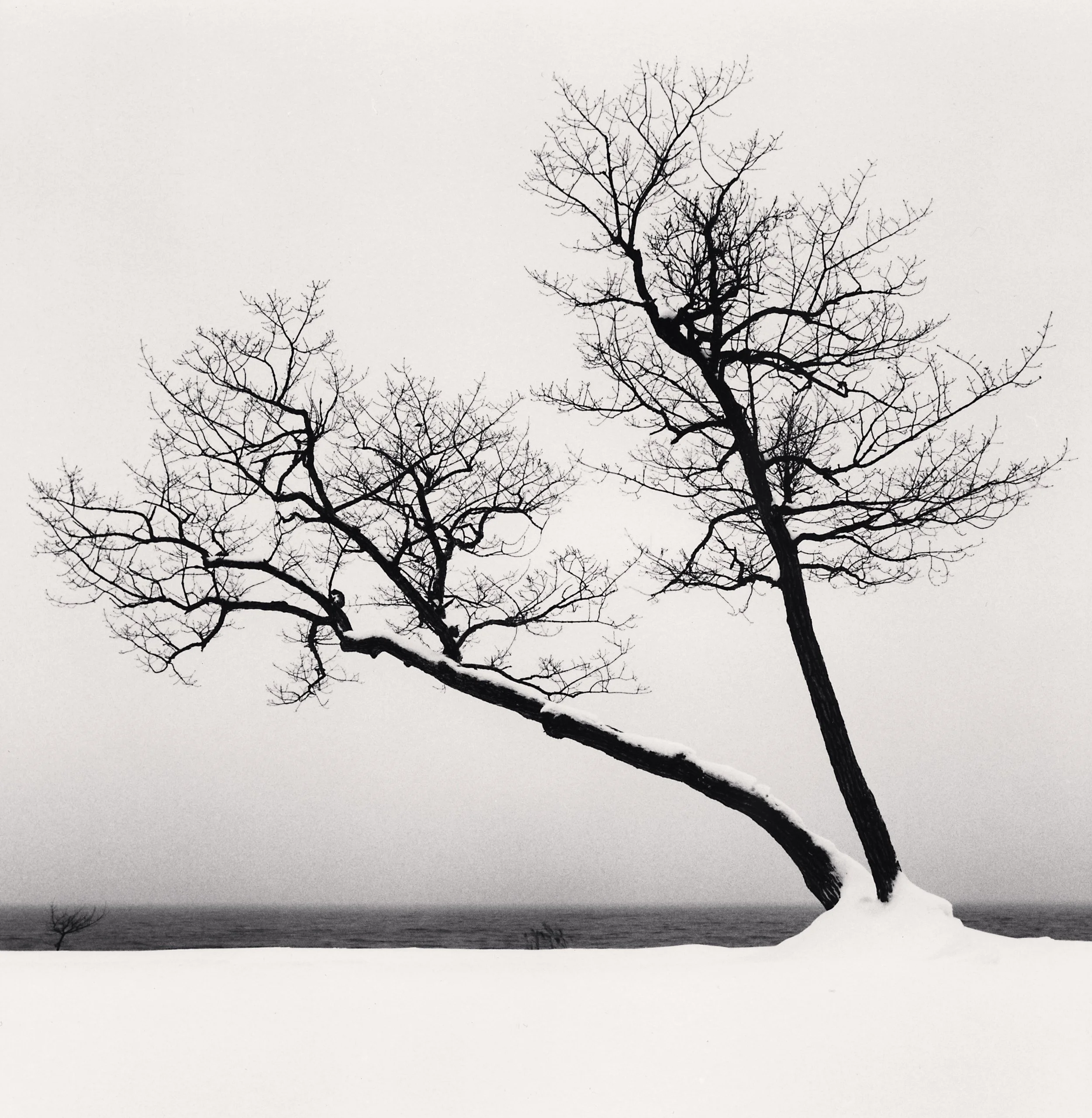 Why Michael Kenna Still Shoots Film - and What Japan Taught Him